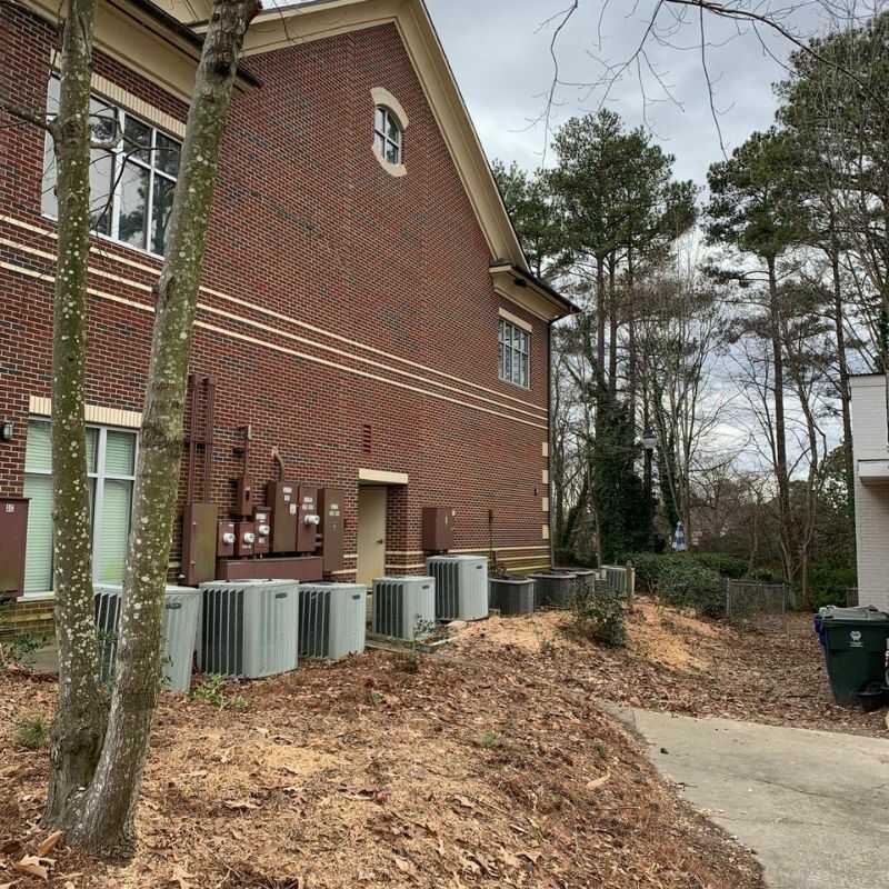 Top Notch Tree Services in Zebulon, NC-Alfred’s tree services llc (12)