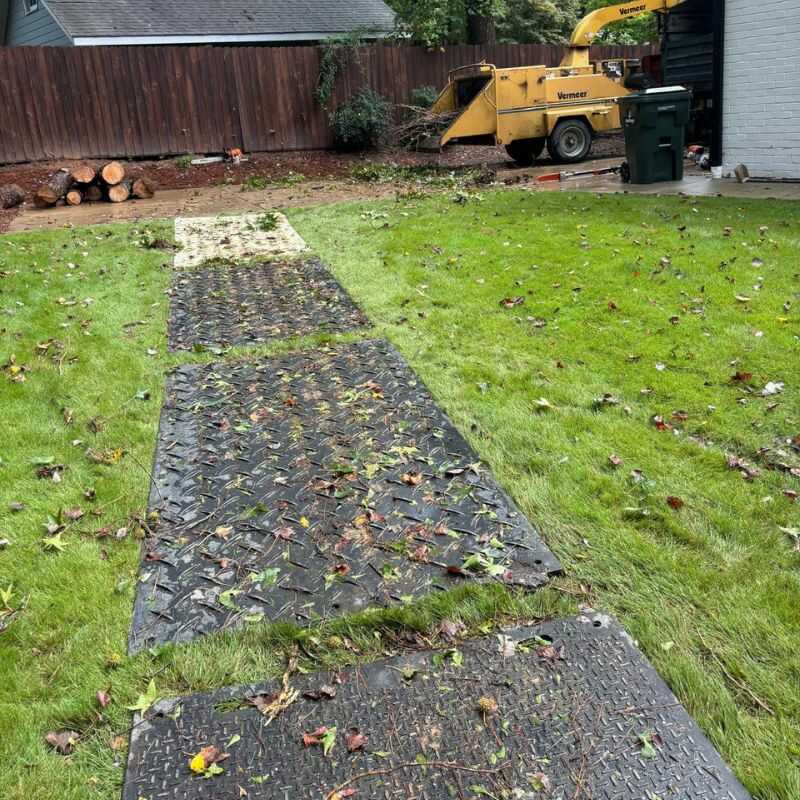 Professional Lot Clearing Services in Zebulon, NC