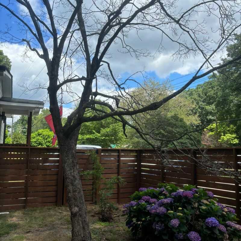 About Us – Top Notch Tree Services in Zebulon, NC