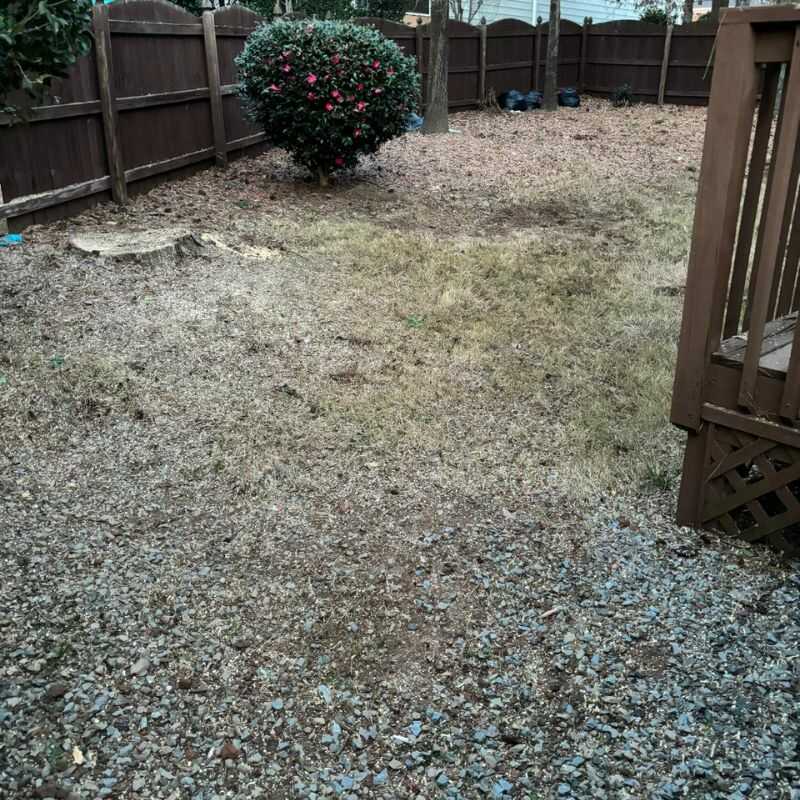 Professional Lot Clearing Services in Zebulon, NC