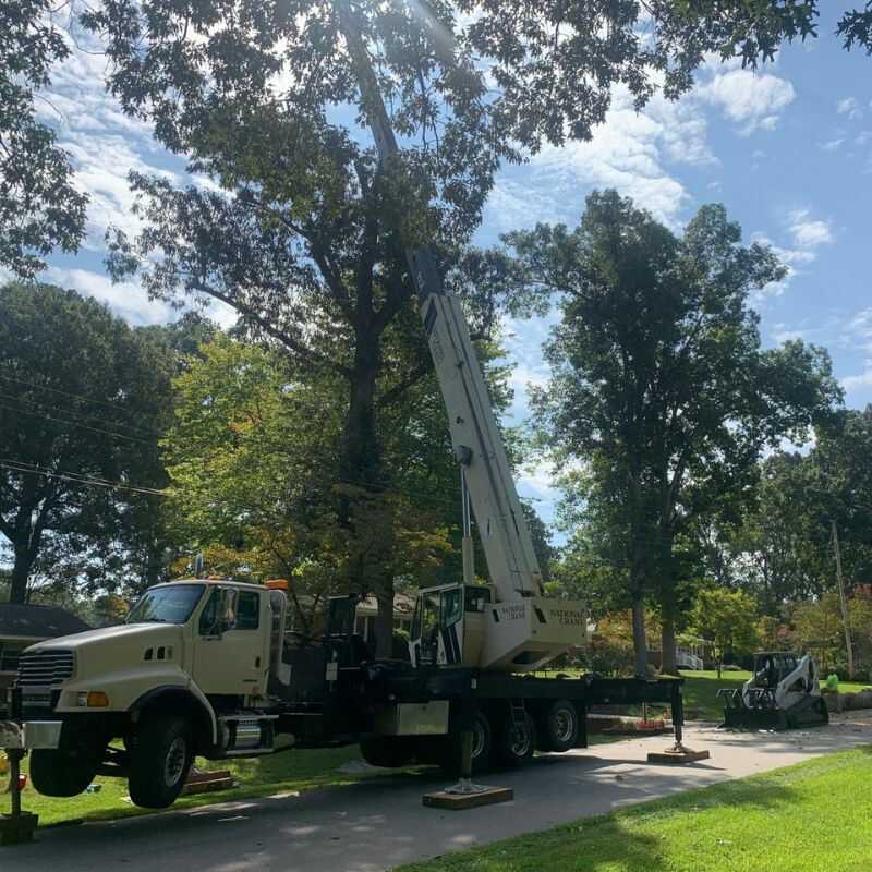 The Best Tree Trimming Services in Zebulon, NC