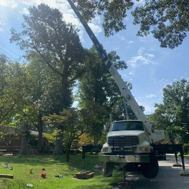 The Best Tree Trimming Services in Zebulon, NC