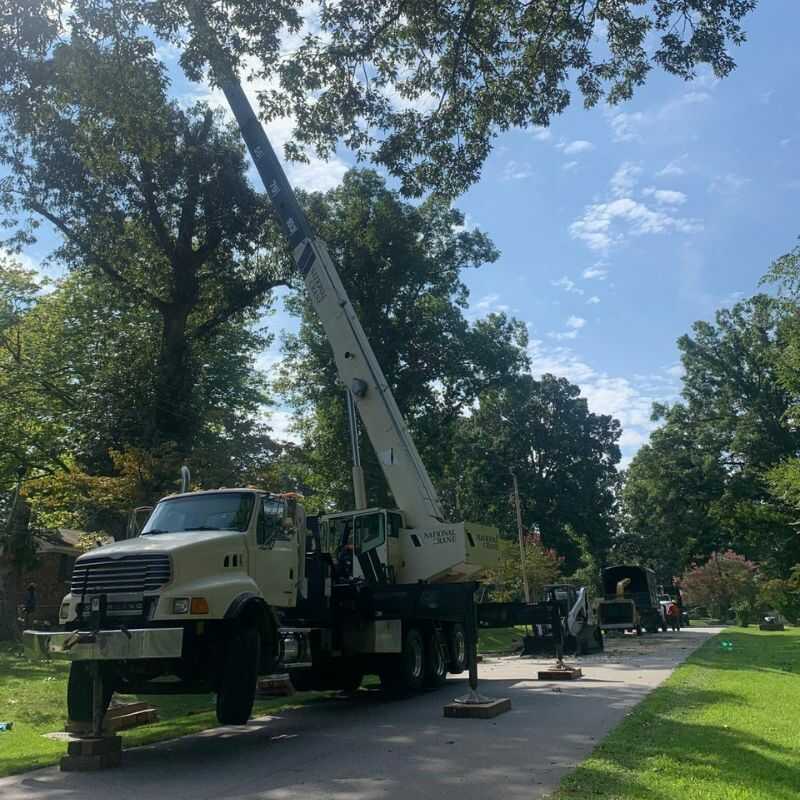 The Best Tree Trimming Services in Zebulon, NC