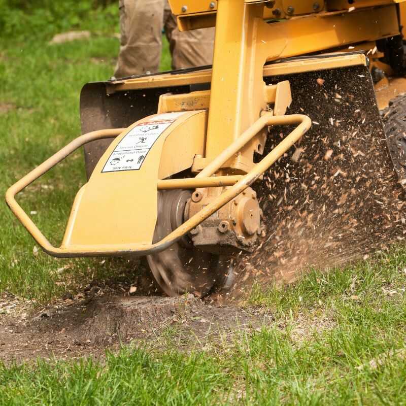 Top Quality Stump Grinding Services in Zebulon, NC