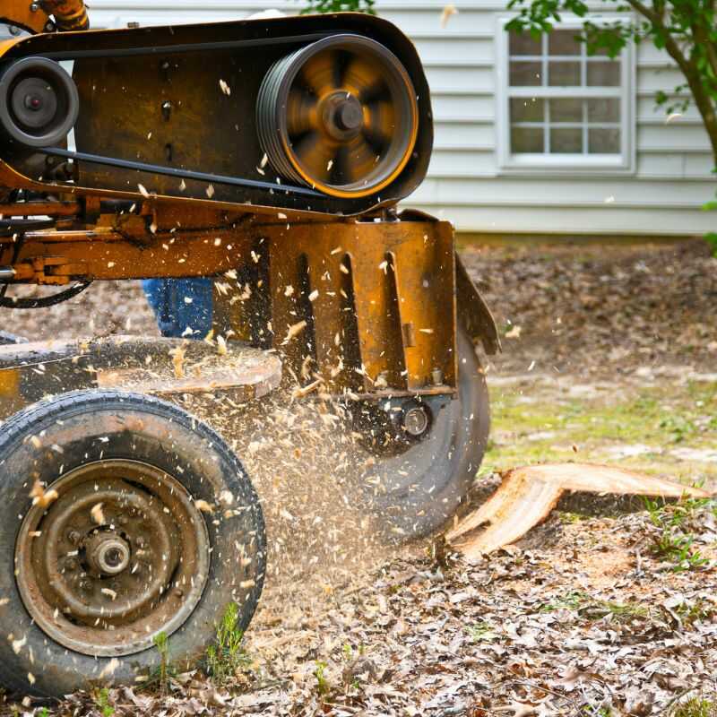 Top Quality Stump Grinding Services in Zebulon, NC
