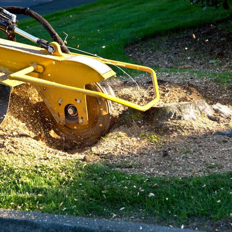 Top Quality Stump Grinding Services in Zebulon, NC