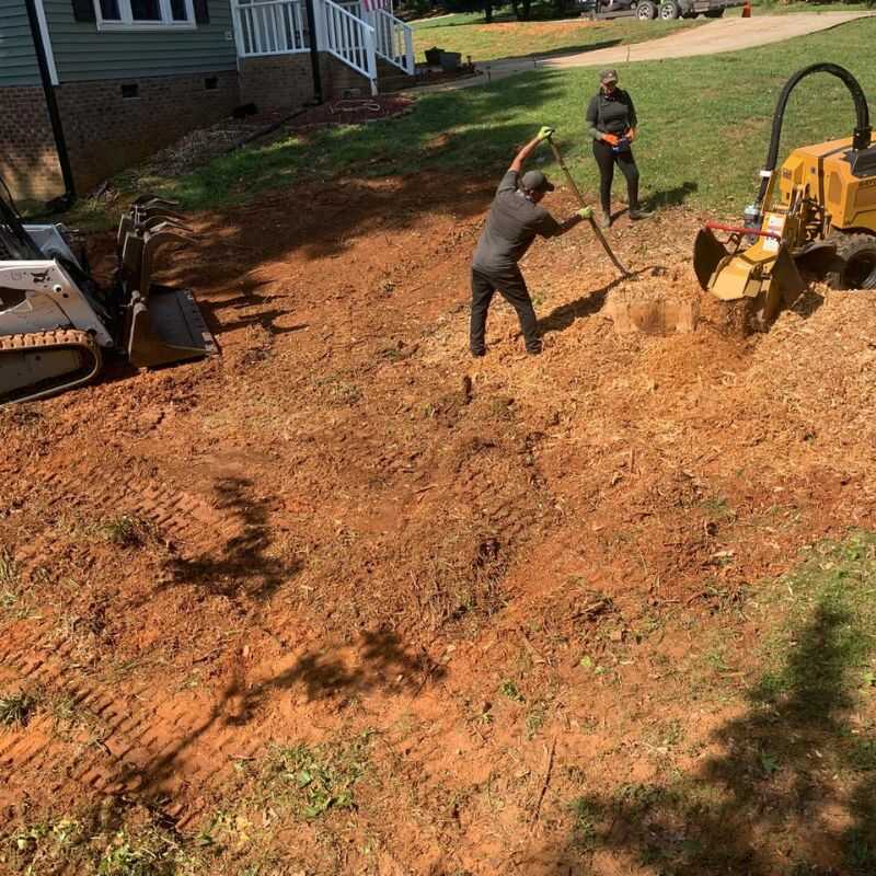 Top Quality Stump Grinding Services in Zebulon, NC